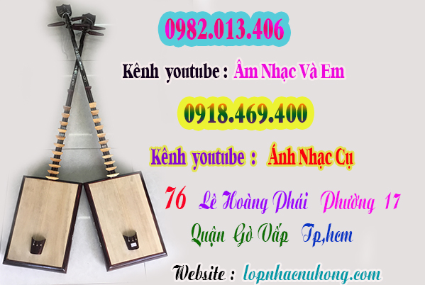 Mua đàn đáy tại gò vấp ( Tp.Hồ Chí Minh )
