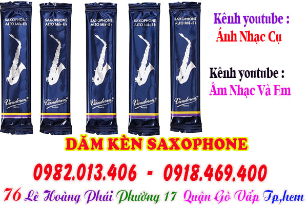 Mua dăm kèn saxophone tại Tp.Hồ Chí Minh ( Gò Vấp )