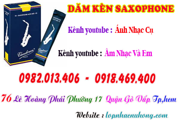 Mua dăm kèn saxophone tại Tp.Hồ Chí Minh ( Gò Vấp )