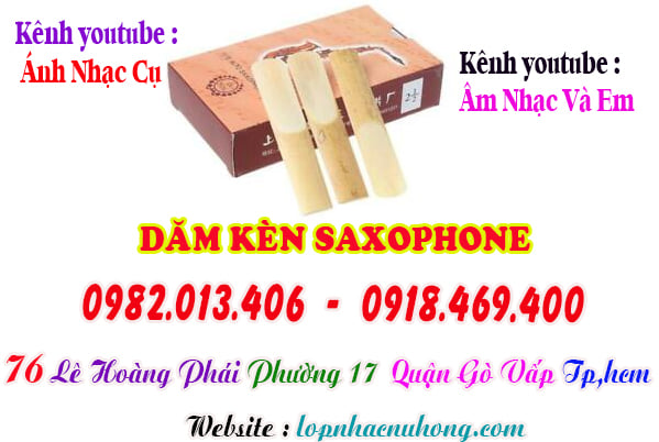 Mua dăm kèn saxophone tại Tp.Hồ Chí Minh ( Gò Vấp )