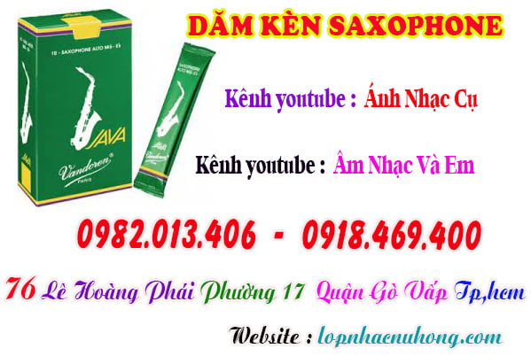 Mua dăm kèn saxophone tại Tp.Hồ Chí Minh ( Gò Vấp )