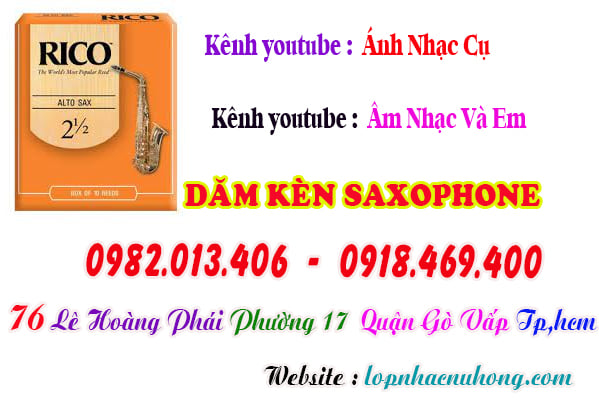 Mua dăm kèn saxophone tại Tp.Hồ Chí Minh ( Gò Vấp )