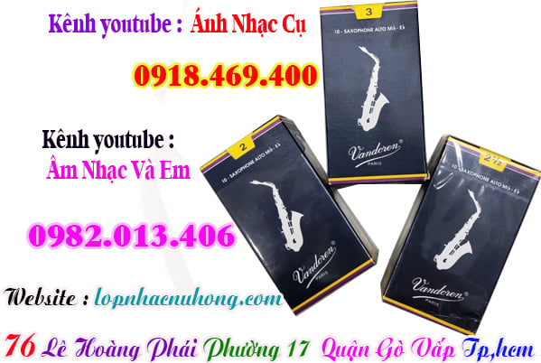 Mua dăm kèn saxophone tại Tp.Hồ Chí Minh ( Gò Vấp )