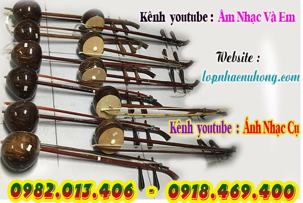 Mua đàn gáo tại Tp.Hồ Chí Minh (Gò Vấp )