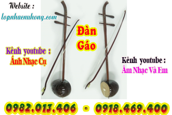 Mua đàn gáo tại Tp.Hồ Chí Minh (Gò Vấp )