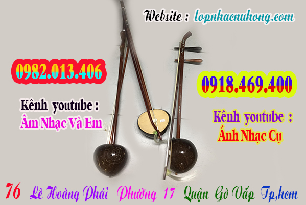 Mua đàn gáo tại Tp.Hồ Chí Minh (Gò Vấp )