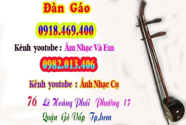 Mua đàn gáo tại Tp.Hồ Chí Minh (Gò Vấp )