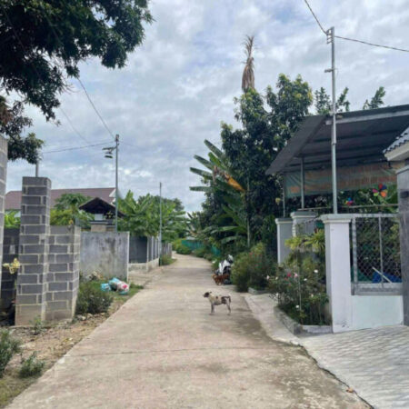 cần bán lô đất Diên an-Diên khánh- Nha Trang Dt:254m có thổ ngang 5m nở hậu 7,6m Đường bê tông 6m cần bán lô đất Diên an-Diên khánh- Nha Trang Dt:254m có thổ ngang 5m nở hậu 7,6m Đường bê tông 6m