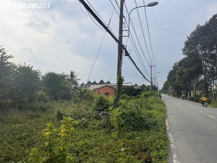 Bán đât mặt tiền My khánh full thổ 3763mThái Mỹ, Củ Chi – cách Vinhomes Đức Hòa chỉ 2km Giá 29,9