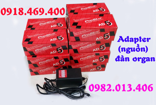 Mua nguồn đàn organ tại gò vấp ( Tp.Hồ Chí Minh )