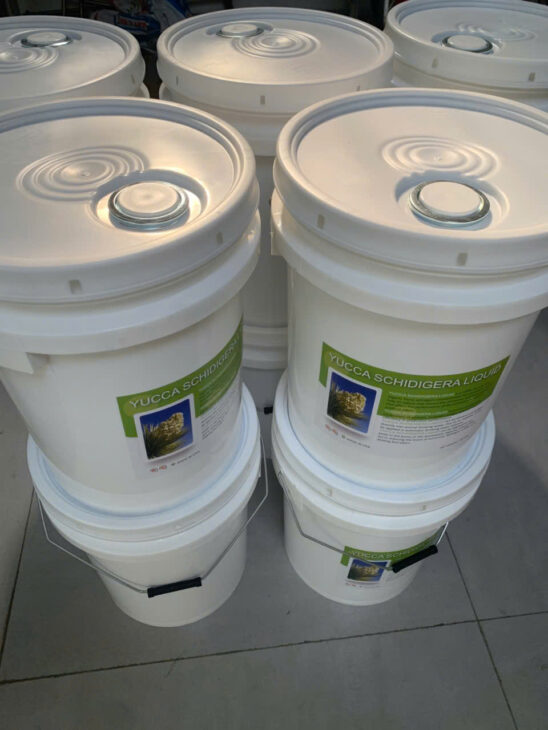 Yucca Nguyên Liệu, Yucca Mỹ, Yucca Bột, Yucca Nước, Yucca Lỏng, Yucca DK, Yucca Desertking