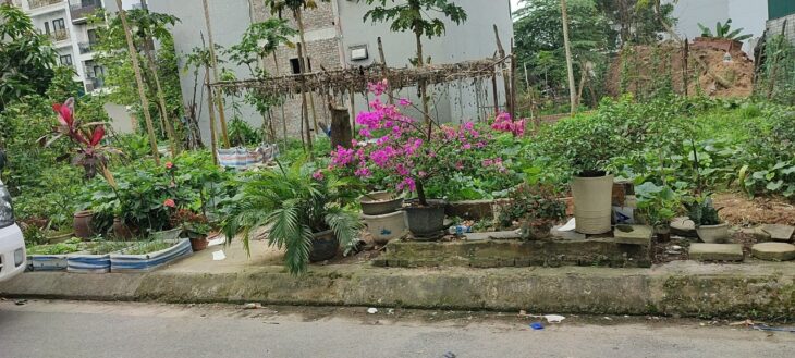 GẤP!ĐẤT MẶT PHỐ PHƯƠNG CANH,MẶT TIỀN RỘNG,NGÃ TƯ PHƯƠNG CANH & TRỊNH VĂN BÔ,135M,MT=8M,29.9ty