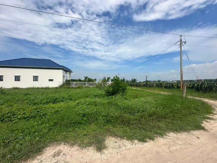 Bán 1.4 sào đất giảm 50% Tân Bình – LaGi chỉ 1.6 tỷ phủ hồng gần Biển