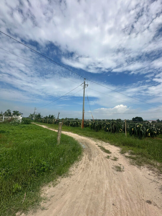 Bán 1.4 sào đất giảm 50% Tân Bình – LaGi chỉ 1.6 tỷ phủ hồng gần Biển