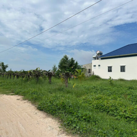 Bán 1.4 sào đất giảm 50% Tân Bình – LaGi chỉ 1.6 tỷ phủ hồng gần Biển Bán 1.4 sào đất giảm 50% Tân Bình – LaGi chỉ 1.6 tỷ phủ hồng gần Biển