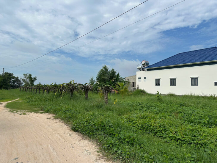 Bán 1.4 sào đất giảm 50% Tân Bình – LaGi chỉ 1.6 tỷ phủ hồng gần Biển