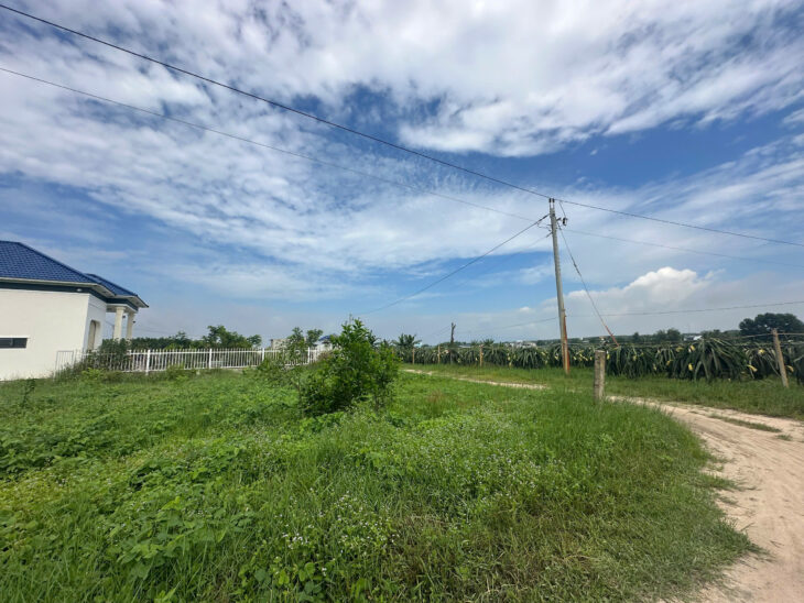 Bán 1.4 sào đất giảm 50% Tân Bình – LaGi chỉ 1.6 tỷ phủ hồng gần Biển