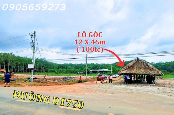 Cần bán gấp 650m2 (15×42) có 300m2 thổ cư tại DT750 – Long hòa DầuTiếng