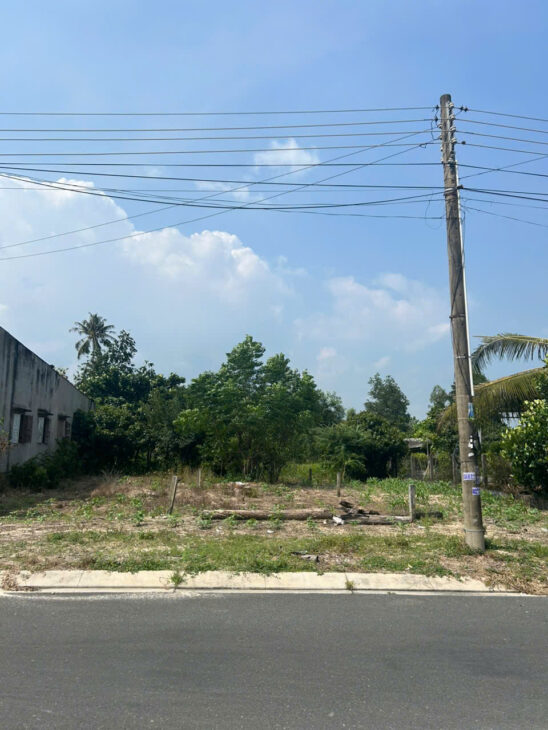 Bán 5m x 55m đất thổ cư Đường Trưng Trắc,Tân An, LaGi giá ngộp sổ riêng