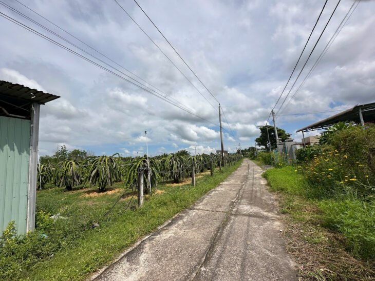 Bán 372m2 đất Cách Biển 500m Hẻm Lý Thái Tổ, Tân Tiến, LaGi 900 triệu