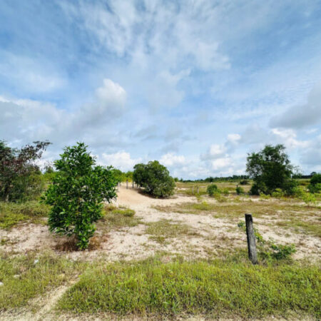 Bán 1.3 sào đất gần Biển Tân Tiến – LaGi giá rẻ nhất 500 triệu sổ riêng Bán 1.3 sào đất gần Biển Tân Tiến – LaGi giá rẻ nhất 500 triệu sổ riêng