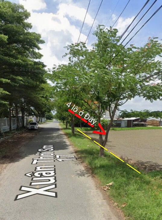 CCG BÁN 4 LÔ ĐẤT LÚA MẶT TIỀN NHỰA – ĐƯỜNG XUÂN THỚI SƠN 17, HÓC MÔN