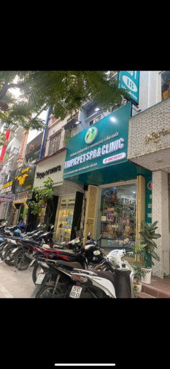 DUY NHẤT 1 CĂN ! MP trần Quốc Hoàn Cầu Giấy vỉ hè ôt tránh KD 45m x 5T nhỉnh 37 tỷ TL DUY NHẤT 1 CĂN ! MP trần Quốc Hoàn Cầu Giấy vỉ hè ôt tránh KD 45m x 5T nhỉnh 37 tỷ TL