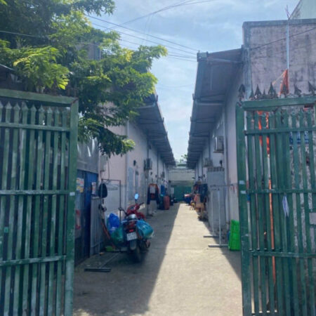 BÁN GẤP DÃY TRỌ (12×50) – MẶT TIỀN ĐƯỜNG ĐÔNG THẠNH, HÓC MÔN GIÁ RẺ