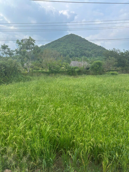 Bán 912m2 lô góc mặt tiền Nguyễn Minh Châu,LaGi giá ngộp 900 triệu
