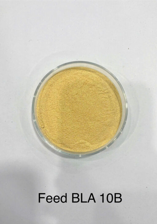 FEED BLA 10B – VI SINH ỨC CHẾ VI KHUẨN GÂY BỆNH