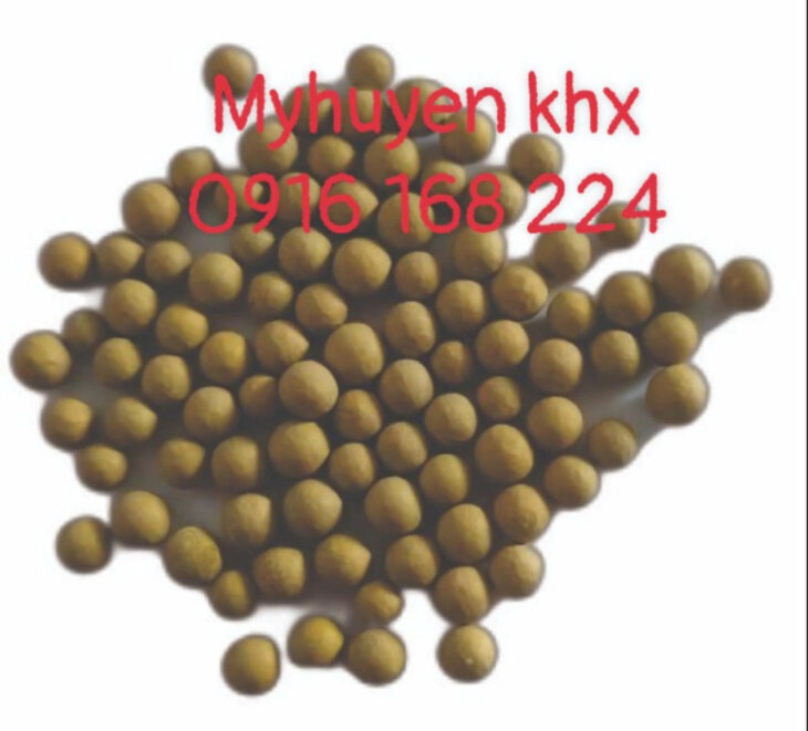 BOTTOM PLUS – Vi sinh xử lý đáy ao mạnh mẽ