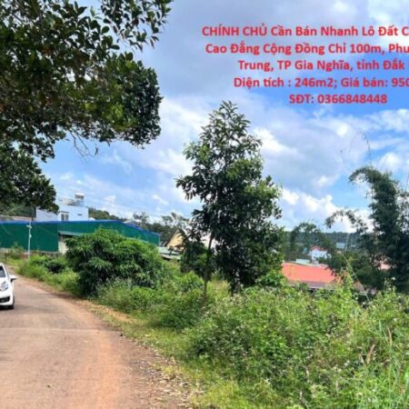 GIÁ TỐT – CHÍNH CHỦ Cần Bán Nhanh Lô Đất Cách Trường Cao Đẳng Cộng Đồng Chỉ 100m