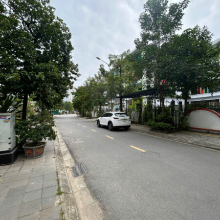 114,9m n3-21 khu vườn đào