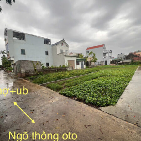 CHÍNH CHỦ BÁN LÔ ĐẤT 80,2M² – XÓM 2 GẦN CHỢ CHƯƠNG DƯƠNG, XÃ CHƯƠNG DƯƠNG, HUYỆN THƯỜNG TÍN (CŨ),