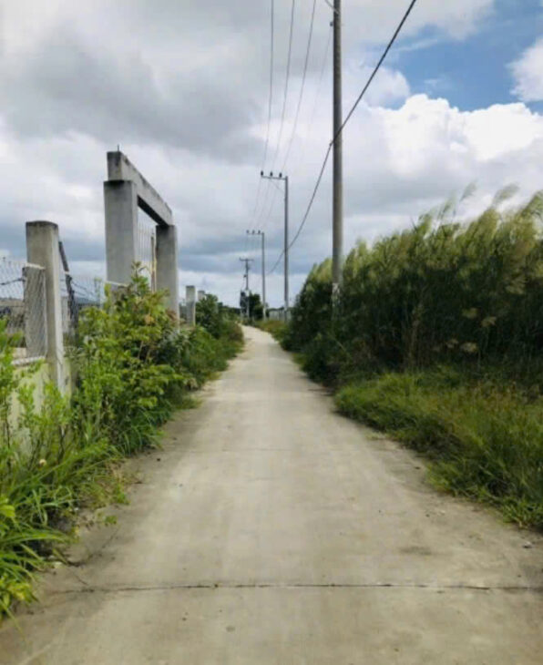 CHÍNH CHỦ CẦN BÁN 1000m² ĐẤT ĐẸP – CÁCH ĐƯỜNG RỪNG SÁC CHỈ 400M – BÌNH KHÁNH, CẦN GIỜ