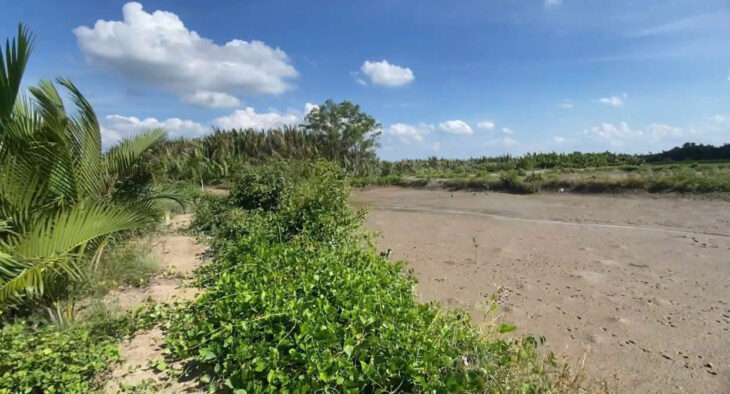 CHÍNH CHỦ CẦN BÁN 1000m² ĐẤT ĐẸP – CÁCH ĐƯỜNG RỪNG SÁC CHỈ 400M – BÌNH KHÁNH, CẦN GIỜ