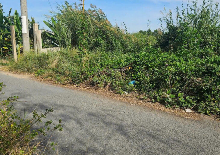 CHÍNH CHỦ CẦN BÁN 1000m² ĐẤT ĐẸP – CÁCH ĐƯỜNG RỪNG SÁC CHỈ 400M – BÌNH KHÁNH, CẦN GIỜ