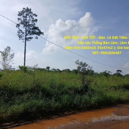 ĐẤT ĐẸP – GIÁ TỐT – Bán Lô Đất Tiềm Năng Tại Thị Trấn Lộc Thắng Bảo Lâm, Lâm Đồng ĐẤT ĐẸP – GIÁ TỐT – Bán Lô Đất Tiềm Năng Tại Thị Trấn Lộc Thắng Bảo Lâm, Lâm Đồng