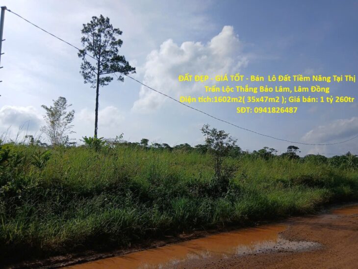 ĐẤT ĐẸP – GIÁ TỐT – Bán Lô Đất Tiềm Năng Tại Thị Trấn Lộc Thắng Bảo Lâm, Lâm Đồng