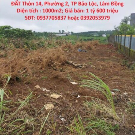 ĐẤT ĐẸP – GIÁ TỐT- CHÍNH CHỦ CẦN BÁN CĂN LÔ ĐẤT Thôn 14, Phường 2, TP Bảo Lộc, Lâm Đồng ĐẤT ĐẸP – GIÁ TỐT- CHÍNH CHỦ CẦN BÁN CĂN LÔ ĐẤT Thôn 14, Phường 2, TP Bảo Lộc, Lâm Đồng