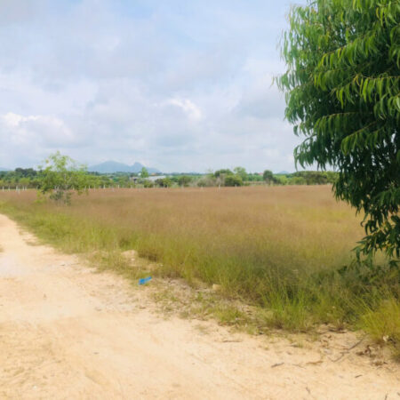 Bán 1000m2 đất gần Biển Tân Bình, LaGi có 400m2 thổ cư giá rẻ Bán 1000m2 đất gần Biển Tân Bình, LaGi có 400m2 thổ cư giá rẻ