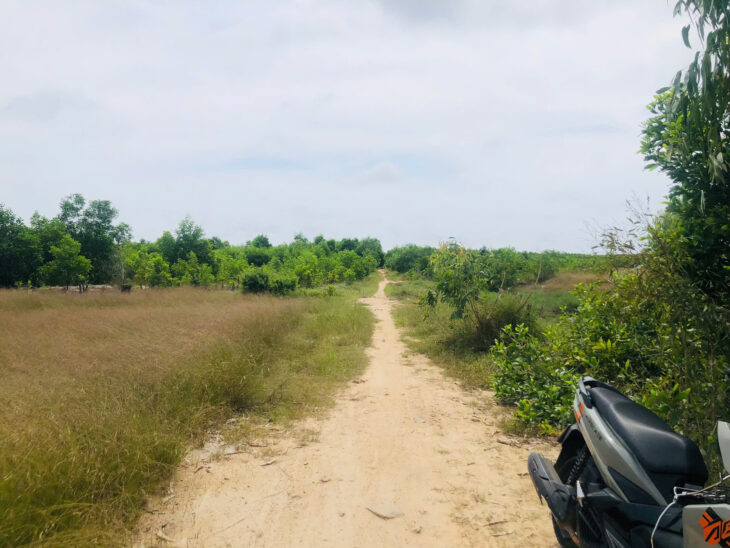 Bán 1000m2 đất gần Biển Tân Bình, LaGi có 400m2 thổ cư giá rẻ