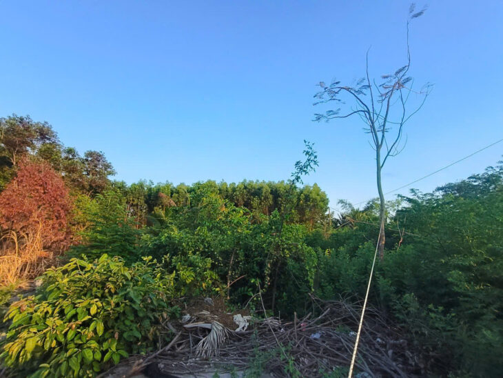 Chính chủ gửi bán đất ngay Mỹ Thuận-Long Mỹ-Bà Rịa (Phước Hải Long Đất mới,gần trường cấp 3 Dương