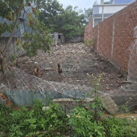 Bán ĐẤT CHÍNH CHỦ – GIÁ TỐT – Ấp Mới 1 , Xã Mỹ Hạnh Nam, Huyện Đức Hòa, Long An Bán ĐẤT CHÍNH CHỦ – GIÁ TỐT – Ấp Mới 1 , Xã Mỹ Hạnh Nam, Huyện Đức Hòa, Long An