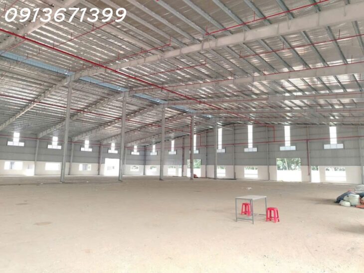 Bàu Bàng & Bến Cát, Bình Dương – Cho Thuê Nhà Xưởng 11.000m² – 20.000m², Giấy Tờ Pháp Lý Đầy Đủ