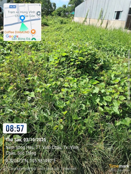 Chính CHủ CẦN BÁN 2 LÔ ĐẤT Tại Phường 1 & 2, Thị Xã Vĩnh Châu, Sóc Trăng