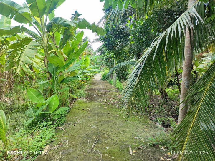 ĐẤT ĐẸP – GIÁ TỐT – CẦN BÁN NHANH 3 Lô Đất Vị Trí Đắc Địa Tại Song Thuận, Châu Thành, Tiền Giang