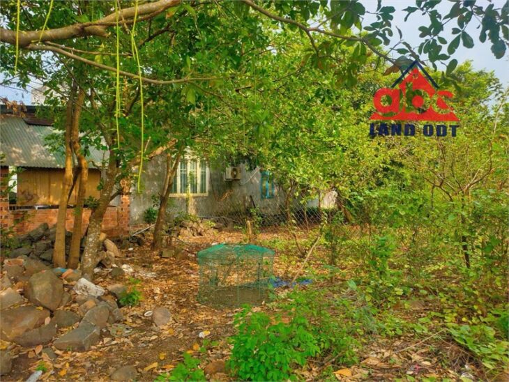 NP1047 bán gấp nhà vườn, cạnh KCN thích hợp ở và xây thêm nhà cho thuê