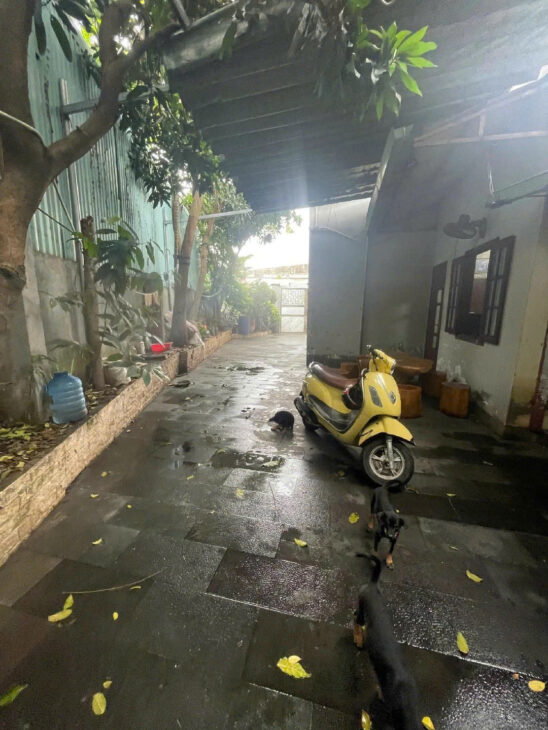 CẦN BÁN ĐẤT TẶNG NHÀ CẤP 4 – DIỆN TÍCH 246m² – MẶT TIỀN ĐƯỜNG BÀU TRẢNG 6 – GIÁ CHỈ 13,9 TỶ