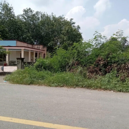 CHÍNH CHỦ BÁN ĐẤT HIỆN HỮU – MẶT TIỀN ĐƯỜNG AN NHƠN TÂY, HUYỆN CỦ CHI , HỒ CHÍ MINH CHÍNH CHỦ BÁN ĐẤT HIỆN HỮU – MẶT TIỀN ĐƯỜNG AN NHƠN TÂY, HUYỆN CỦ CHI , HỒ CHÍ MINH